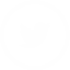 twitter embtex